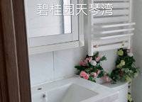 碧桂園天琴灣