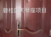 碧桂園天琴灣