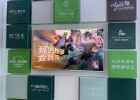 雅居樂天域