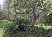 康橋玖璽園