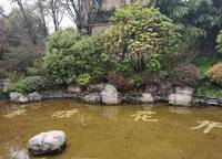 林溪灣