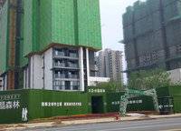 大正水晶森林