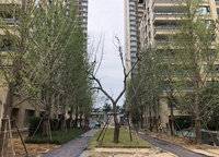 萬科美景世玠（鄭紡機地王）