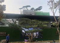 正商禎瑞上境