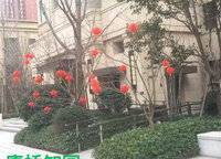 康橋知園