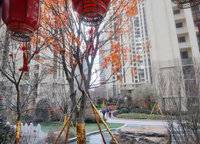 中海萬(wàn)錦公館