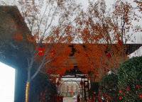 中海萬(wàn)錦公館