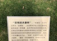 萬科美景世玠（鄭紡機地王）