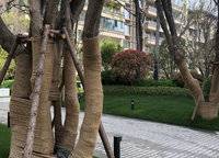 萬科美景世玠（鄭紡機地王）