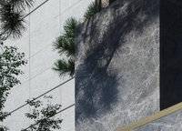 正商禎瑞上境