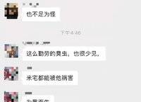 綠城明月濱河