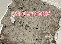 美景美境