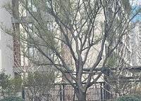 永威城