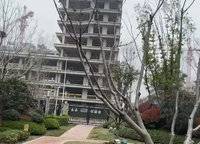 冠景君悅湖