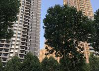 美盛教育港灣