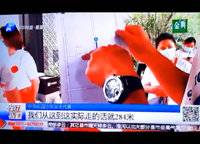 中海如園