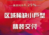 碧桂園天璽灣