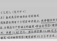 遠(yuǎn)洋瑞林宸章