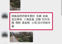 正弘璟云筑