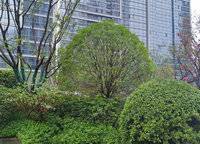華潤?quán)崠|萬象城·幸福里