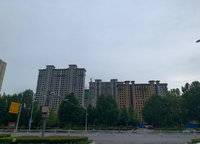 大溪地