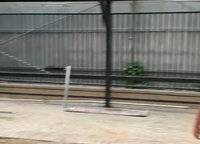 綠城明月濱河