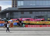 濱河春曉