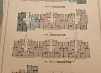 常綠水投壹號院