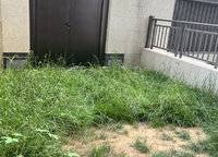 雅居樂御賓府