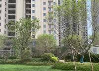 電建瀧悅華庭