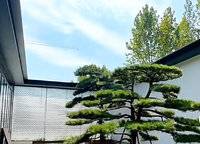 萬(wàn)祥紫廬