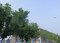 建業(yè)花園里朗岸