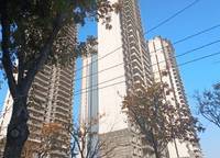 中原頌
