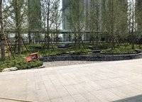 大正水晶森林