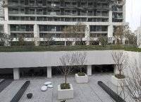 大正水晶森林