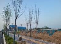建業(yè)花園里朗岸