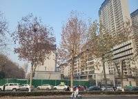 龍湖雅寶·天鉅