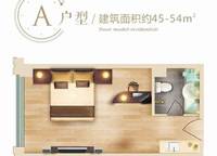 A戶型一室一衛(wèi)45-54㎡ 1室1廳1衛(wèi)1廚 45.00㎡
