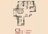 c5戶型三室兩廳一衛(wèi)89 3室2廳1衛(wèi)1廚 89.00㎡