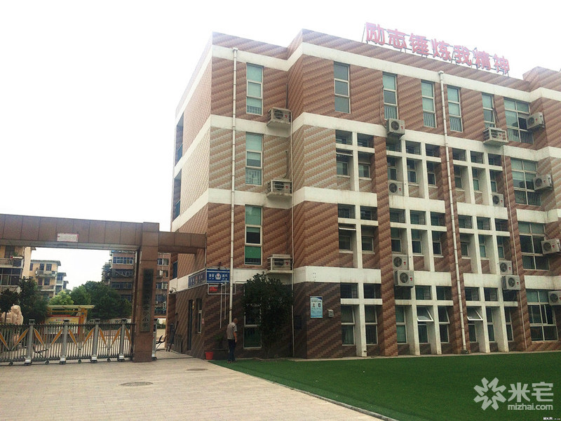 金沙小学