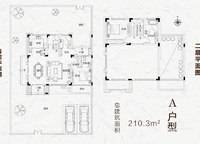 A戶型平面圖 1室2廳2衛(wèi)1廚 210.30㎡