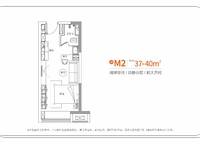 M2戶型 1室0廳1衛(wèi)0廚 37.00㎡