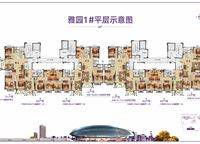 雅園1#平層示意圖 2室2廳1衛(wèi)1廚 0.00㎡