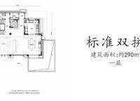 標(biāo)準(zhǔn)雙拼 2室2廳1衛(wèi)1廚 290.00㎡