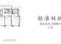 標(biāo)準(zhǔn)雙拼 2室2廳1衛(wèi)1廚 290.00㎡
