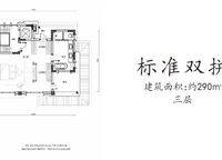 標(biāo)準(zhǔn)雙拼 2室2廳1衛(wèi)1廚 290.00㎡