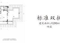 標(biāo)準(zhǔn)雙拼 2室2廳1衛(wèi)1廚 290.00㎡