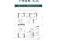 209.63平 5室2廳3衛(wèi)1廚 209.63㎡