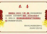 鄭政東出〔2024〕13號（網(wǎng)）
