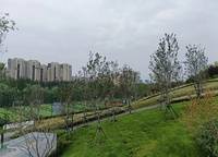 保利縵城和頌